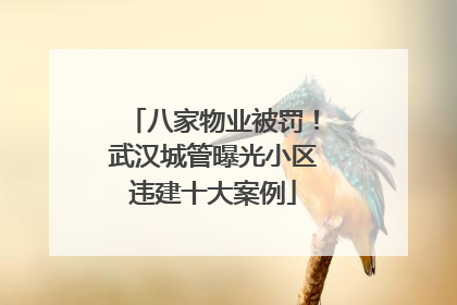 八家物业被罚！武汉城管曝光小区违建十大案例