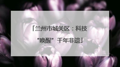 兰州市城关区：科技“唤醒”千年非遗