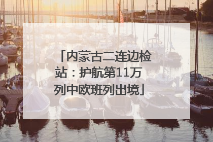 内蒙古二连边检站：护航第11万列中欧班列出境