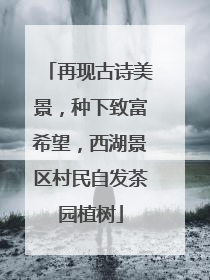 再现古诗美景，种下致富希望，西湖景区村民自发茶园植树