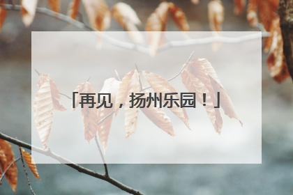 再见，扬州乐园！