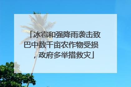 冰雹和强降雨袭击致巴中数千亩农作物受损，政府多举措救灾