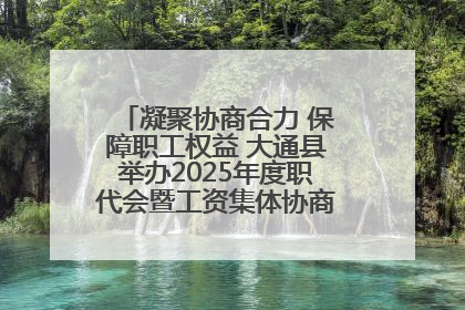 凝聚协商合力 保障职工权益 大通县举办2025年度职代会暨工资集体协商现场观摩交流活动