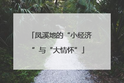 凤溪地的“小经济”与“大情怀”