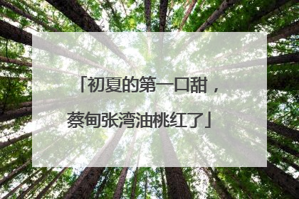 初夏的第一口甜，蔡甸张湾油桃红了