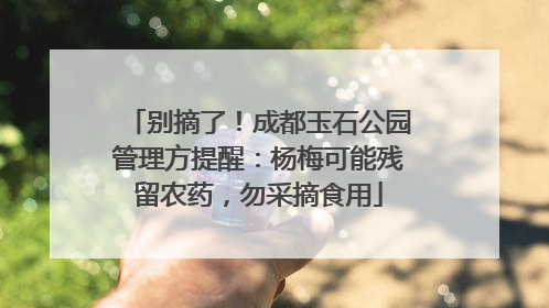 别摘了！成都玉石公园管理方提醒：杨梅可能残留农药，勿采摘食用