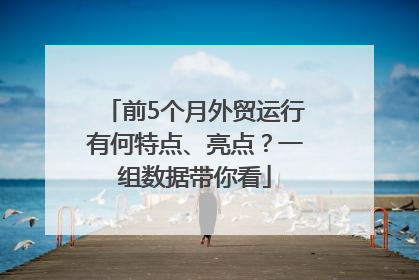 前5个月外贸运行有何特点、亮点？一组数据带你看