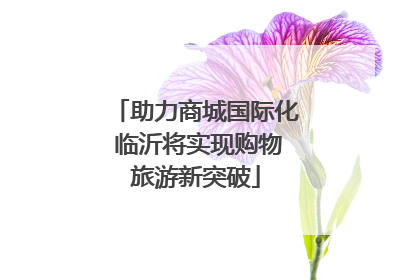 助力商城国际化 临沂将实现购物旅游新突破