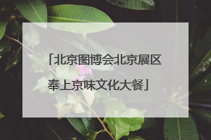 北京图博会北京展区奉上京味文化大餐