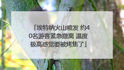 埃特纳火山喷发 约40名游客紧急撤离 温度极高感觉要被烤焦了