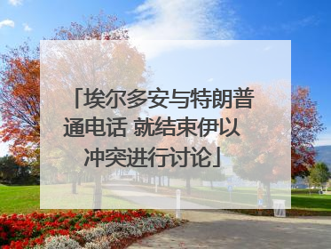 埃尔多安与特朗普通电话 就结束伊以冲突进行讨论
