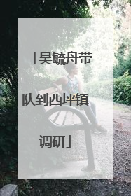吴毓舟带队到西坪镇调研