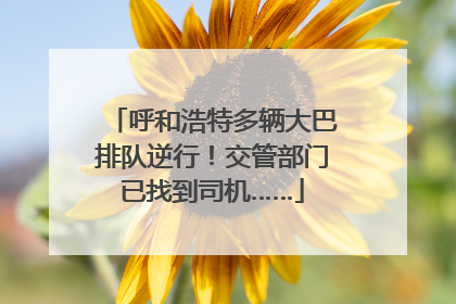 呼和浩特多辆大巴排队逆行！交管部门已找到司机……