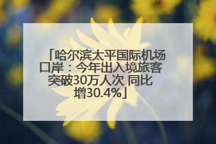 哈尔滨太平国际机场口岸：今年出入境旅客突破30万人次 同比增30.4%
