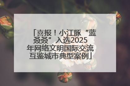 喜报！小江豚“蓝叒叒”入选2025年网络文明国际交流互鉴城市典型案例