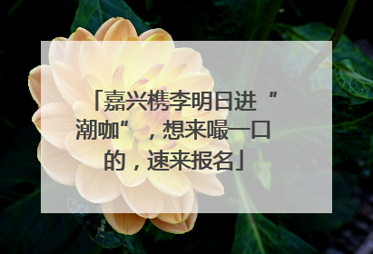 嘉兴槜李明日进“潮咖”，想来嘬一口的，速来报名