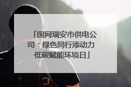 国网瑞安市供电公司：绿色同行添动力 低碳赋能环境日