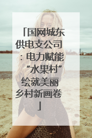国网城东供电支公司：电力赋能“水果村” 绘就美丽乡村新画卷