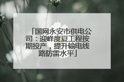 国网永安市供电公司：迎峰度夏工程按期投产，提升输电线路防雷水平