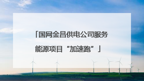国网金昌供电公司服务能源项目“加速跑”