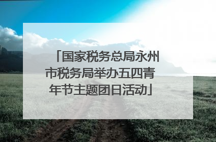 国家税务总局永州市税务局举办五四青年节主题团日活动
