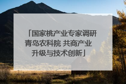 国家桃产业专家调研青岛农科院 共商产业升级与技术创新