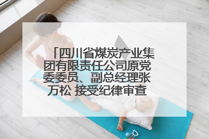 四川省煤炭产业集团有限责任公司原党委委员、副总经理张万松 接受纪律审查和监察调查