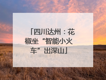 四川达州：花椒坐“智能小火车”出深山