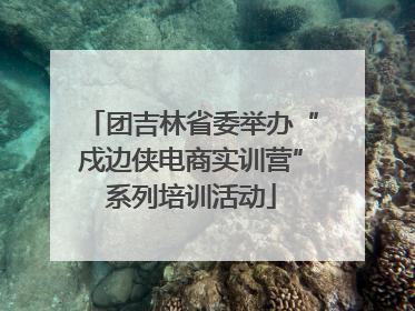 团吉林省委举办“戍边侠电商实训营”系列培训活动