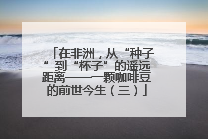 在非洲，从“种子”到“杯子”的遥远距离——一颗咖啡豆的前世今生（三）