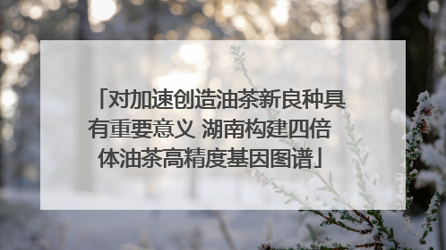 对加速创造油茶新良种具有重要意义 湖南构建四倍体油茶高精度基因图谱
