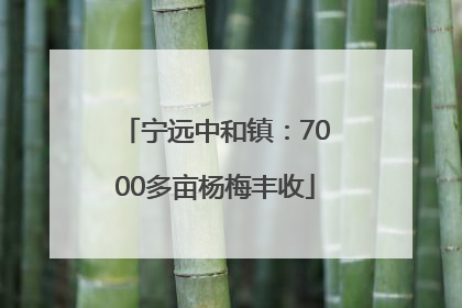 宁远中和镇：7000多亩杨梅丰收