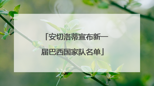安切洛蒂宣布新一届巴西国家队名单