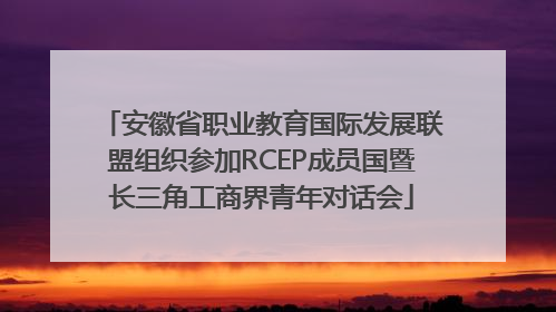 安徽省职业教育国际发展联盟组织参加RCEP成员国暨长三角工商界青年对话会