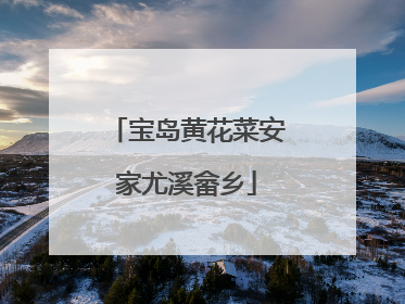 宝岛黄花菜安家尤溪畲乡