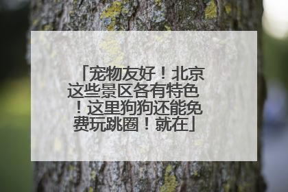 宠物友好！北京这些景区各有特色！这里狗狗还能免费玩跳圈！就在
