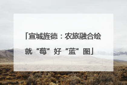 宣城旌德：农旅融合绘就“莓”好“蓝”图