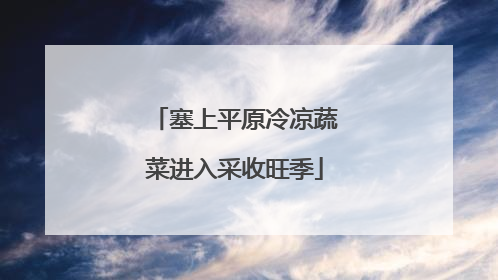 塞上平原冷凉蔬菜进入采收旺季