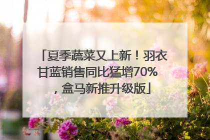 夏季蔬菜又上新！羽衣甘蓝销售同比猛增70%，盒马新推升级版
