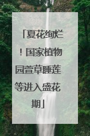 夏花绚烂！国家植物园萱草睡莲等进入盛花期