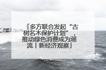 多方联合发起“古树名木保护计划”，推动绿色消费成为潮流丨新经济观察