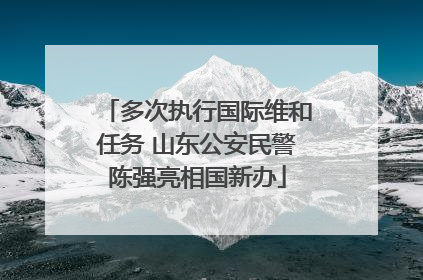 多次执行国际维和任务 山东公安民警陈强亮相国新办