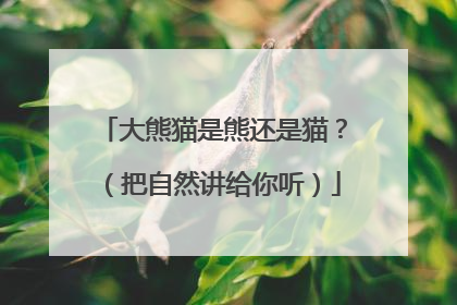 大熊猫是熊还是猫？（把自然讲给你听）