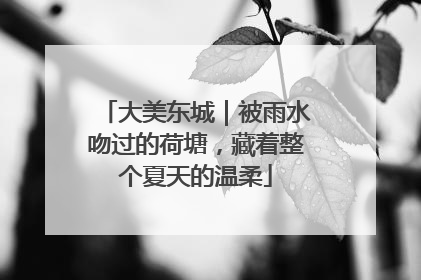 大美东城｜被雨水吻过的荷塘，藏着整个夏天的温柔