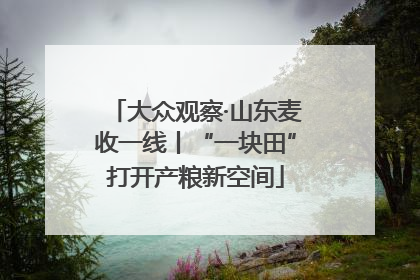 大众观察·山东麦收一线丨“一块田”打开产粮新空间