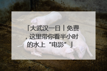大武汉一日︱免费，这里带你看半小时的水上“电影”