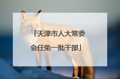 天津市人大常委会任免一批干部