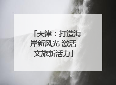 天津：打造海岸新风光 激活文旅新活力