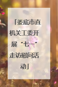 娄底市直机关工委开展“七一”走访慰问活动