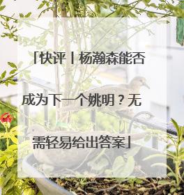 快评丨杨瀚森能否成为下一个姚明？无需轻易给出答案